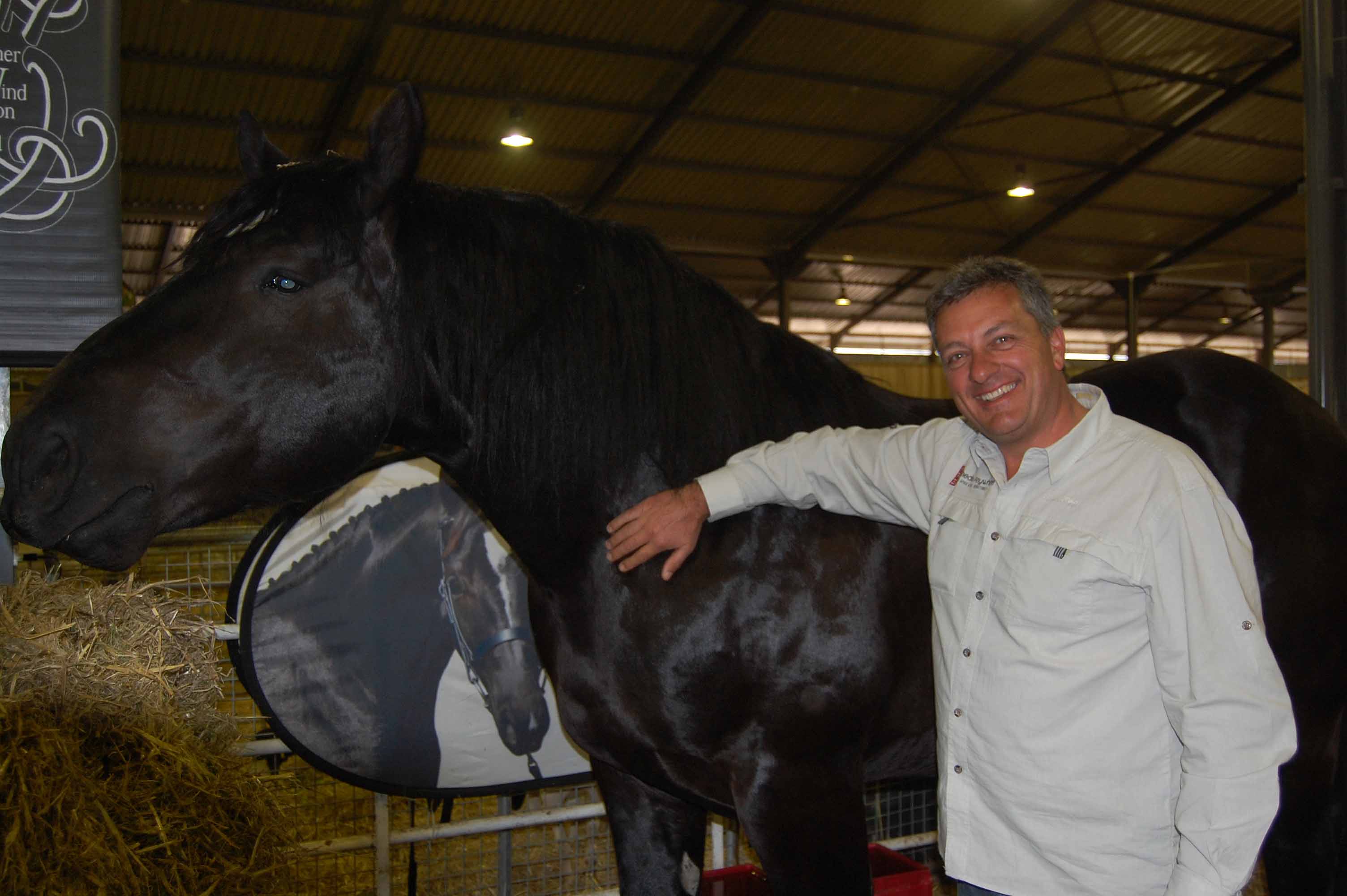 Andre vd Merwe , seun van die Percheron legende, PJ vd Merwe.JPG